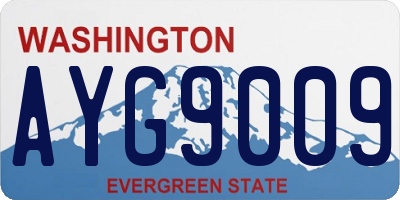 WA license plate AYG9009