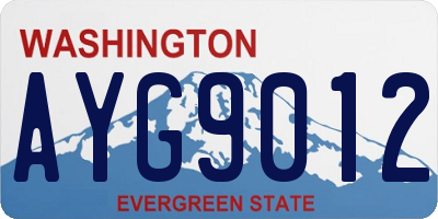 WA license plate AYG9012