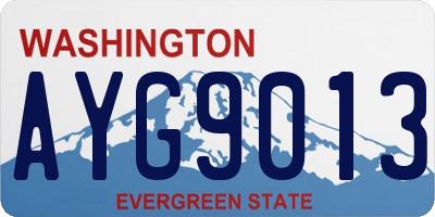 WA license plate AYG9013