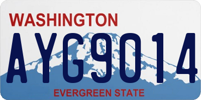 WA license plate AYG9014