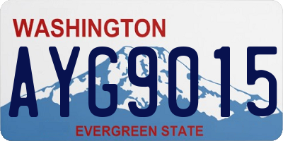WA license plate AYG9015