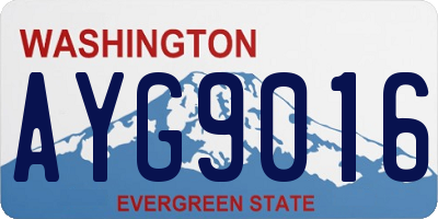 WA license plate AYG9016