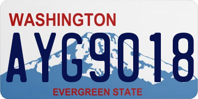 WA license plate AYG9018