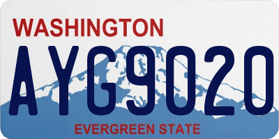 WA license plate AYG9020