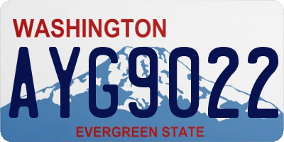 WA license plate AYG9022