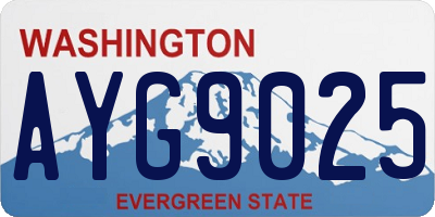 WA license plate AYG9025