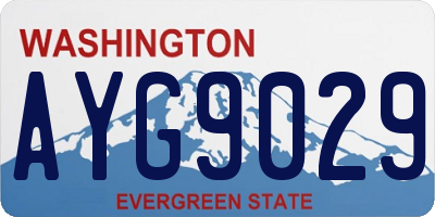 WA license plate AYG9029
