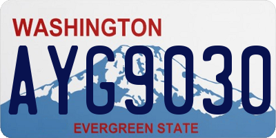 WA license plate AYG9030