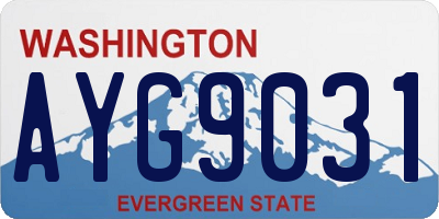 WA license plate AYG9031