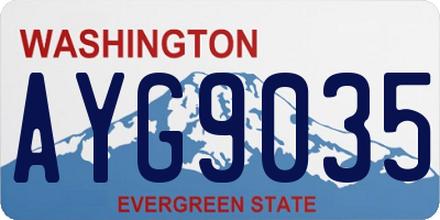 WA license plate AYG9035