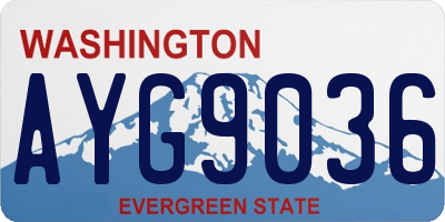 WA license plate AYG9036