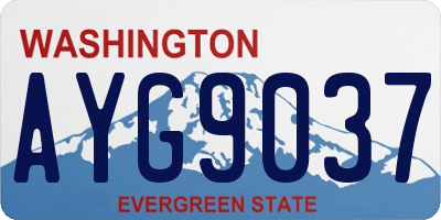 WA license plate AYG9037