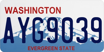 WA license plate AYG9039