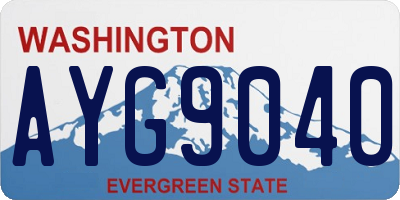WA license plate AYG9040
