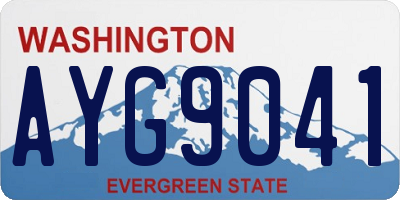 WA license plate AYG9041