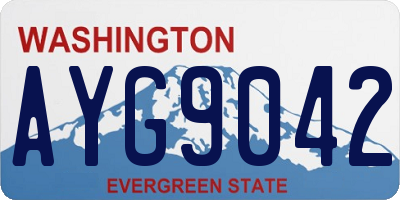 WA license plate AYG9042