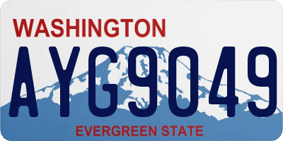 WA license plate AYG9049