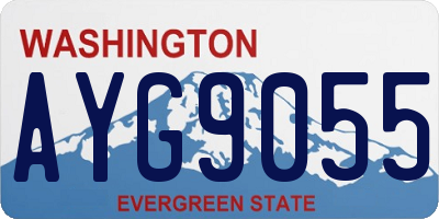 WA license plate AYG9055