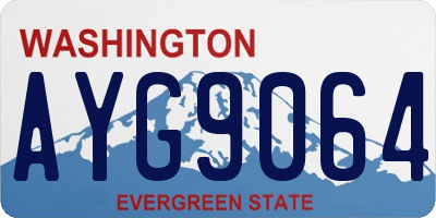 WA license plate AYG9064