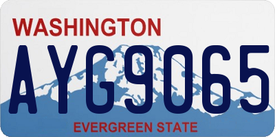 WA license plate AYG9065