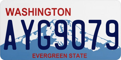WA license plate AYG9079