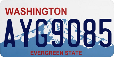 WA license plate AYG9085