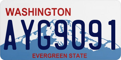 WA license plate AYG9091