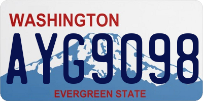 WA license plate AYG9098