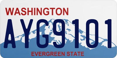 WA license plate AYG9101