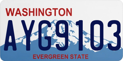 WA license plate AYG9103