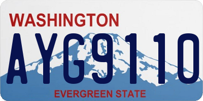 WA license plate AYG9110