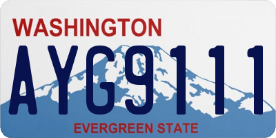 WA license plate AYG9111