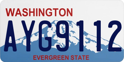 WA license plate AYG9112