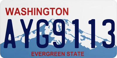 WA license plate AYG9113