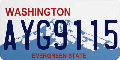 WA license plate AYG9115