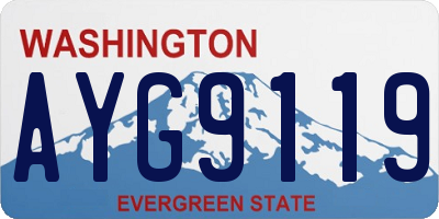 WA license plate AYG9119