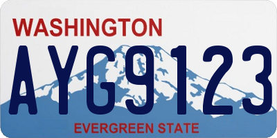 WA license plate AYG9123