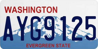 WA license plate AYG9125