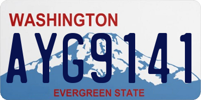 WA license plate AYG9141