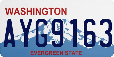 WA license plate AYG9163