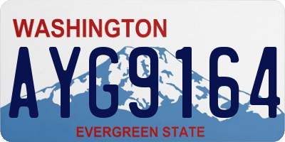 WA license plate AYG9164
