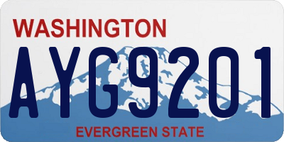 WA license plate AYG9201