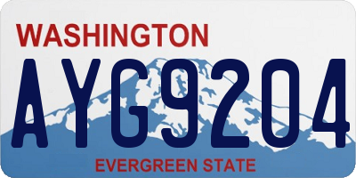 WA license plate AYG9204