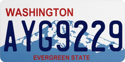 WA license plate AYG9229