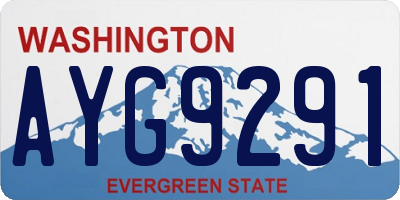 WA license plate AYG9291