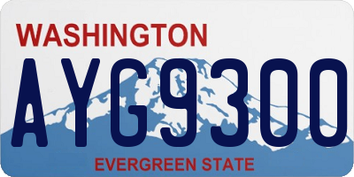 WA license plate AYG9300