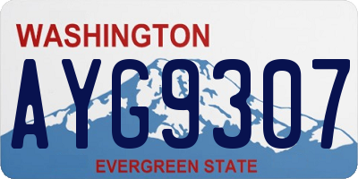 WA license plate AYG9307
