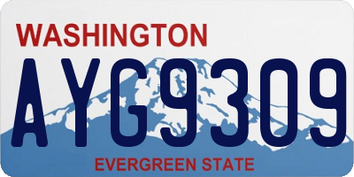 WA license plate AYG9309