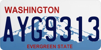 WA license plate AYG9313