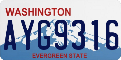 WA license plate AYG9316